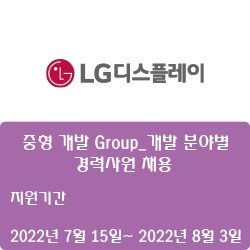 [LG디스플레이] 중형 개발 Group_개발 분야별 경력사원 채용( ~8월 3일)