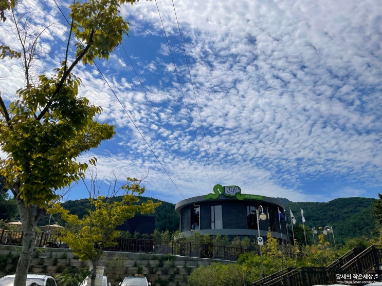  통영) 통영 액티비티 '스카이라인 루지'