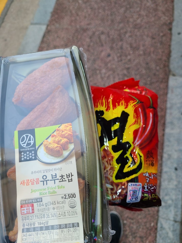  저녁으로 사왔지만 먹은것은 옻닭