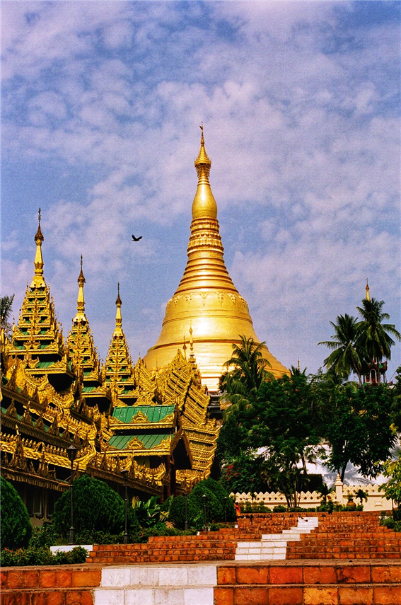 불교 3대 유적지,미얀마 양곤의 쉐다곤 파고다