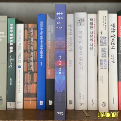  《동물은 어떻게 슬퍼하는가》 동물로써 인간을 생각해 보게 하는 인류학자가 쓴 동물의 슬픔에 대한 이야기