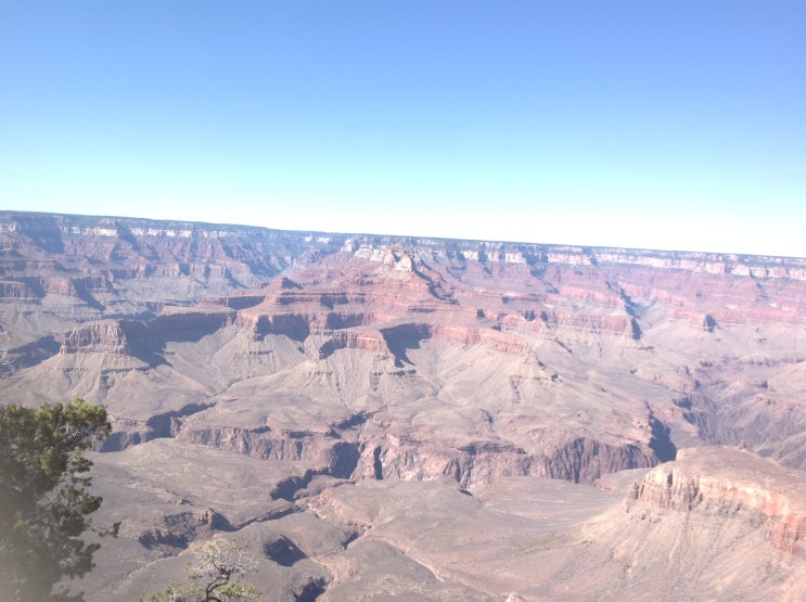  그랜드캐니언(Grand Canyon)/미국 서부/ 라스베가스 근교