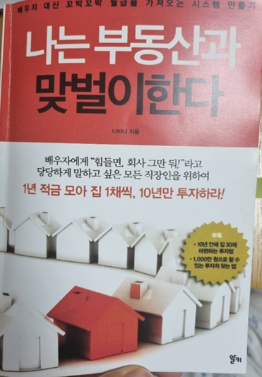  나는 부동산과 맞벌이 한다 -너바나