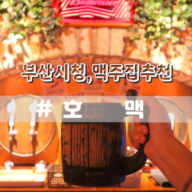  부산시청맥주집 호맥 부산시청점
