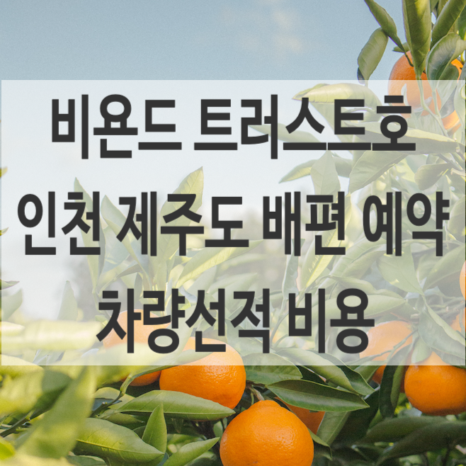비욘드 트러스트호 인천 제주도 배편 예약 가격, 시간, 차량선적 비용