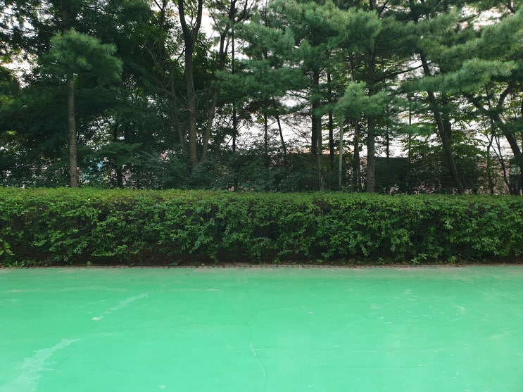 [N 뉴스] <b>안철수</b>, ‘<b>김경수</b> 사면’ 공개 반대··· /  한동훈... 
