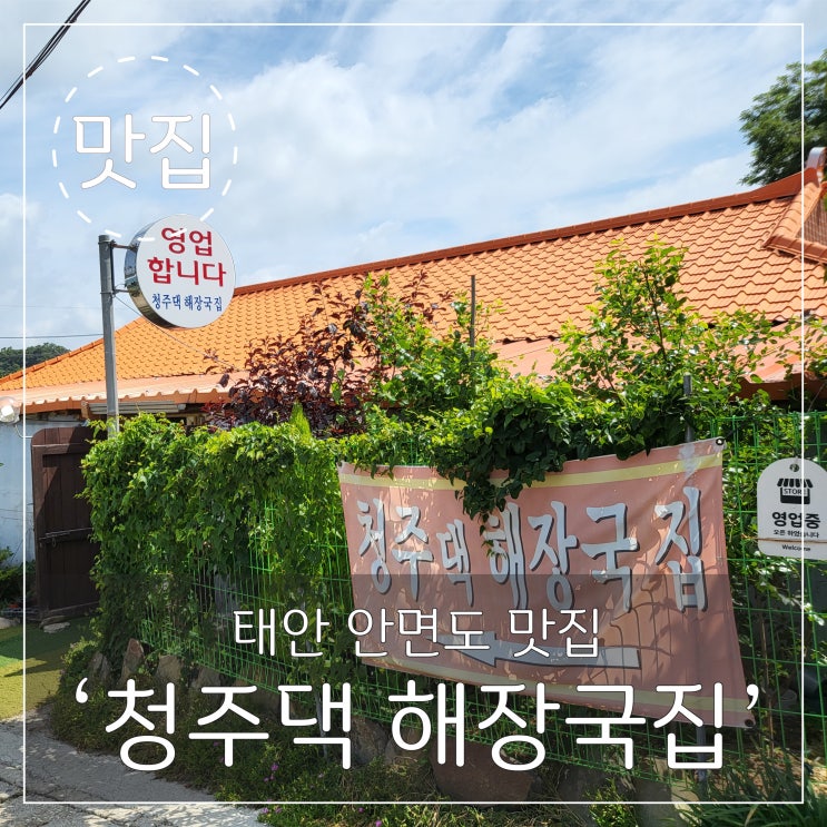  맛집 인증!! 안면도가면 꼭 먹어야하는 '청주댁 해장국집' 필수 