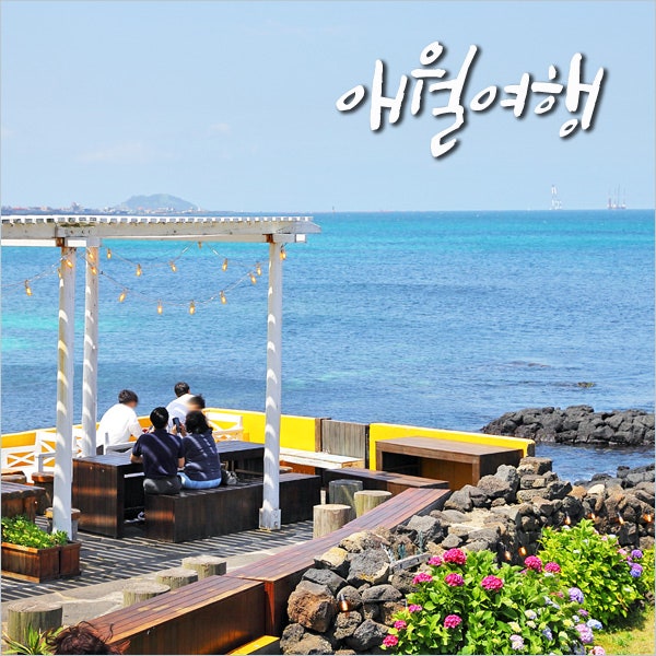 아이들과 함께 가볼만한 제주도 애월, 화조원, 제주도 여행지
