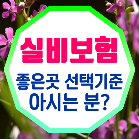 간편실비보험 추천, 좋은 곳 선택하는 기준 아시는 분? 모르신다면 얼른 오세요!
