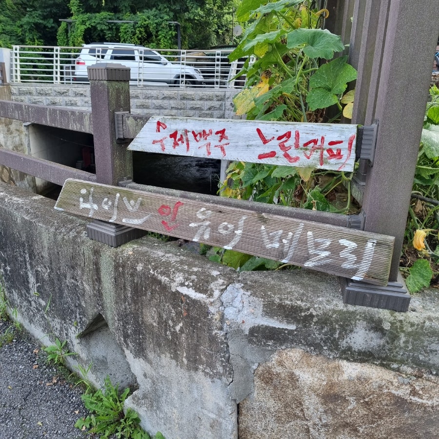 인유어메모리 사진 4