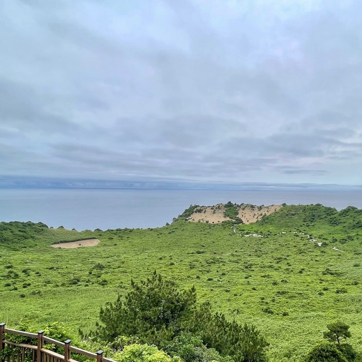  #220727 10박11일 제주도여행 - 서귀포, 성산일출봉