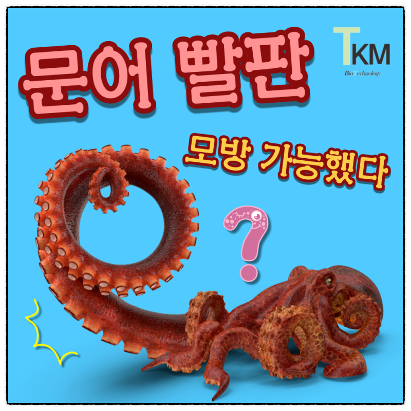 문어 빨판의 강력한 흡인력을 활용한 생체모방기술, 물 속에서도 붙는 고접착 패치 개발 : 네이버 블로그