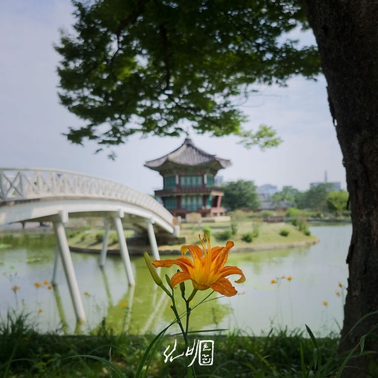  반드시 그렇게 / 지금 궁궐 007 / 20220718 경복궁002