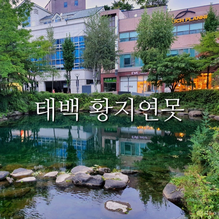 강원도 태백에서 부산까지 물길은 거침이 없다 - 태백 가볼만한곳 낙동강의 발원지 황지연못