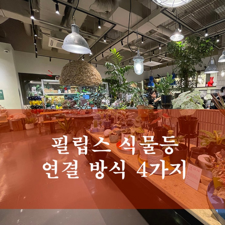  초보식집사 식물등 설치 고민 - 2 (전셋집에 식물등 달기)