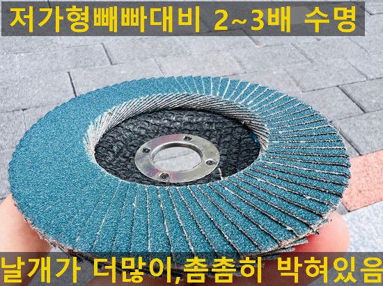  한국레즈본 플랩디스크(빼빠) 판매합니다