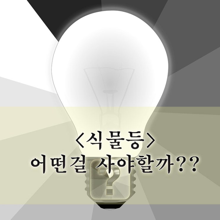  초보 식집사의 식물등 고민 - 1