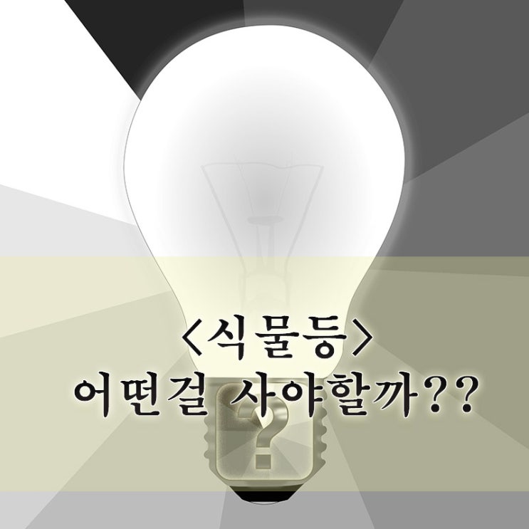 초보 식집사의 식물등 고민 - 1