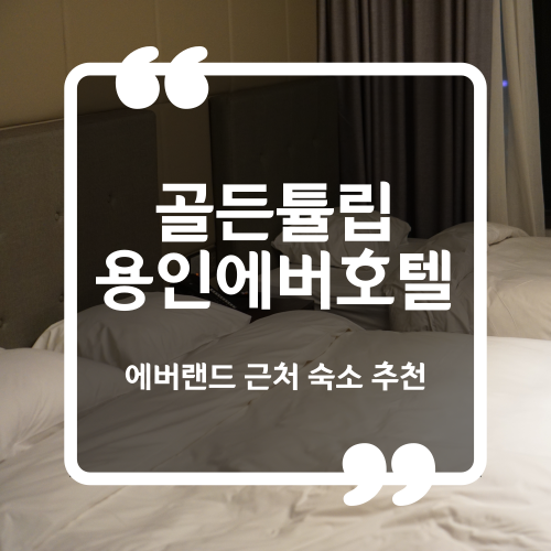  에버랜드 숙박 추천 - 골든튤립용인에버호텔 디럭스패밀리룸 내돈내산 후기