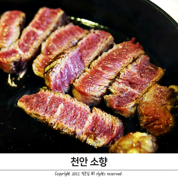 불당동 소고기 합리적인 소향 회식 장소로 굿 불당동 소고기 합리적인 소향 회식 장소로 굿