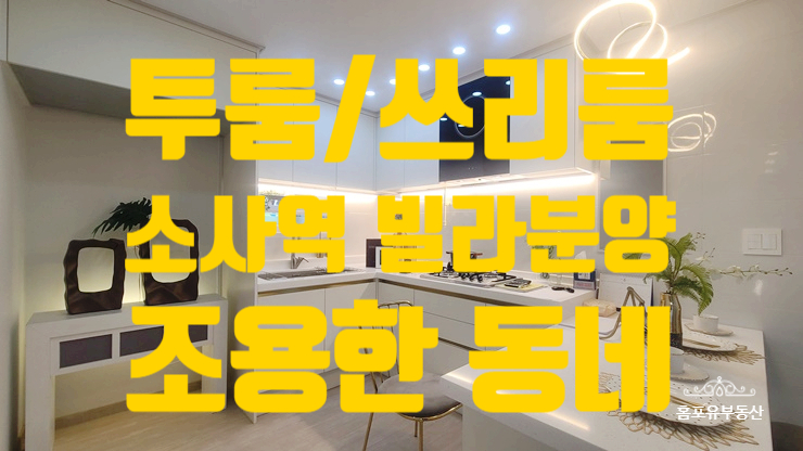  부천 원미동 소사역 신축빌라 더네스트 투룸 쓰리룸 분양 정보