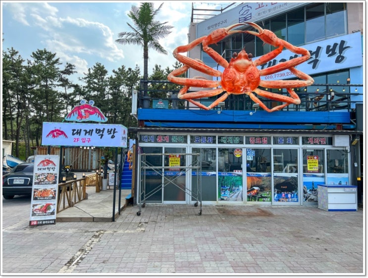  강원도 삼척맛집 대게먹방을 소개합니다.