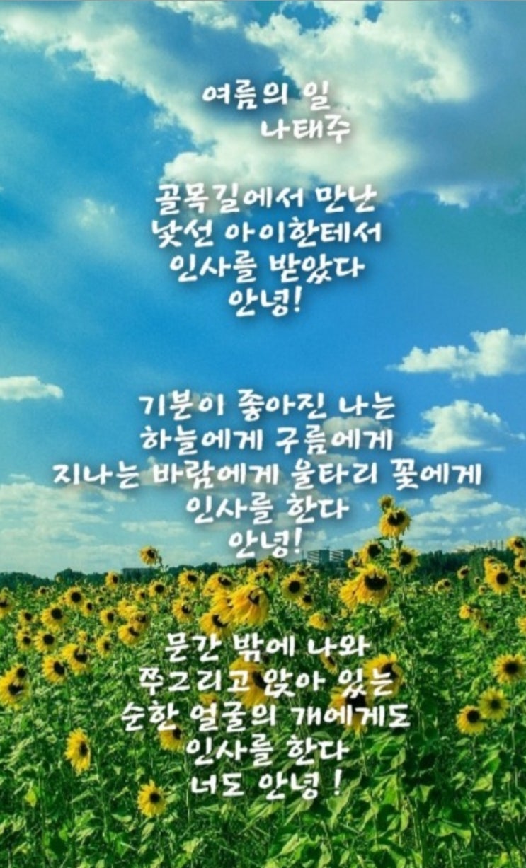  여름의 일