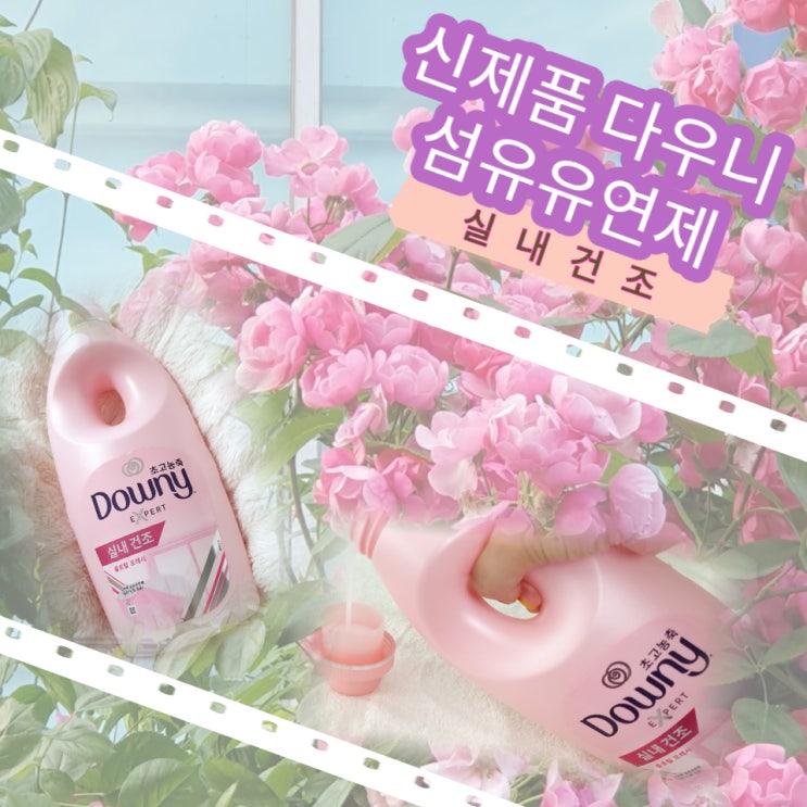  신제품 다우니 실내건조 섬유유연제 향긋한 장미향기