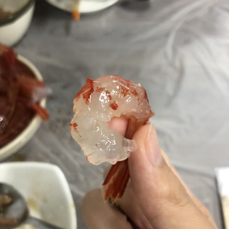  [속초/맛집] 달큰하고 탱글탱글한 꽃새우, 속초 아지트