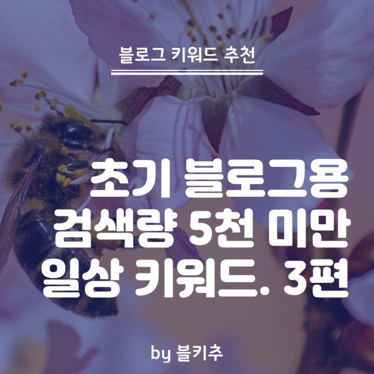  블로그 방문자 늘리기 가능한 일상 키워드 추천 - 검색량 5천 이하 3편