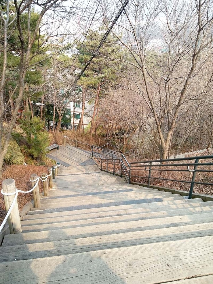 걷고 사랑하며 #201: 24절기의 셋째 절기인 경칩에 서대문구 안산자락길을 걷다