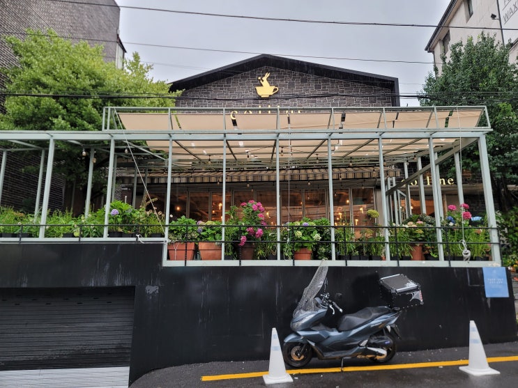  감성 가득한 플랜테리어 합정역 '플라워 & 브런치 카페 콜린'(애견 동반 가능!!)