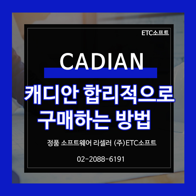  캐디안(CADIAN) 합리적인 가격 구입 방법 3만원쿠폰