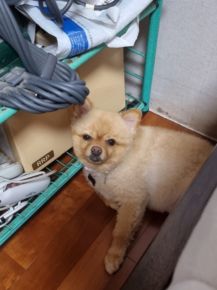  점점 눈이 감기는 사랑이