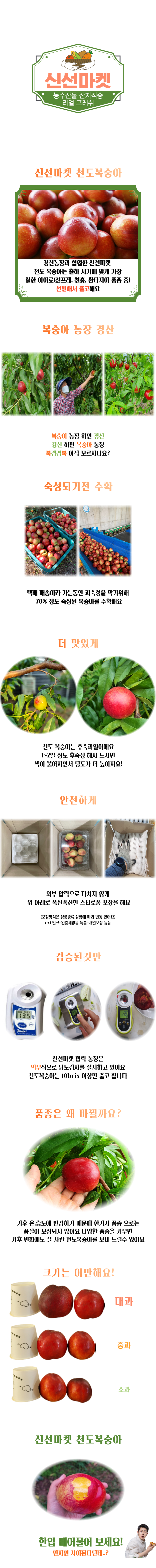  신선마켓 천도복숭아 5kg 특가판매중
