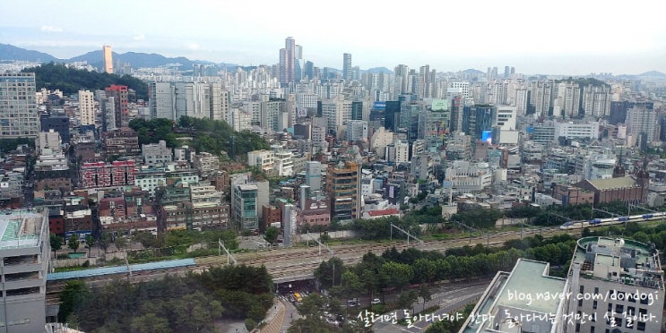  2022년 7월 넷째 주 이야기(7.18 ~ 7.24) - 주간일기 챌린지, 딸년은 다 도둑년