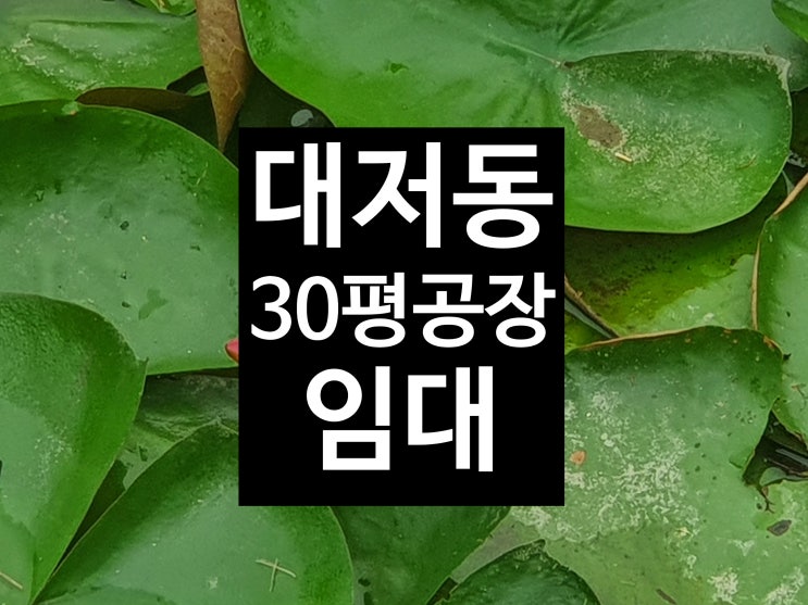  (대저동 30평 소형공장 임대) 공장등록되는 소형공장/공항로에서 가까운