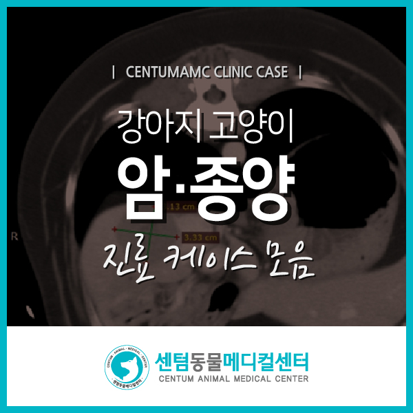 암·종양 진료 케이스 모음 / 센텀동물메디컬센터 (2022.07 기준)
