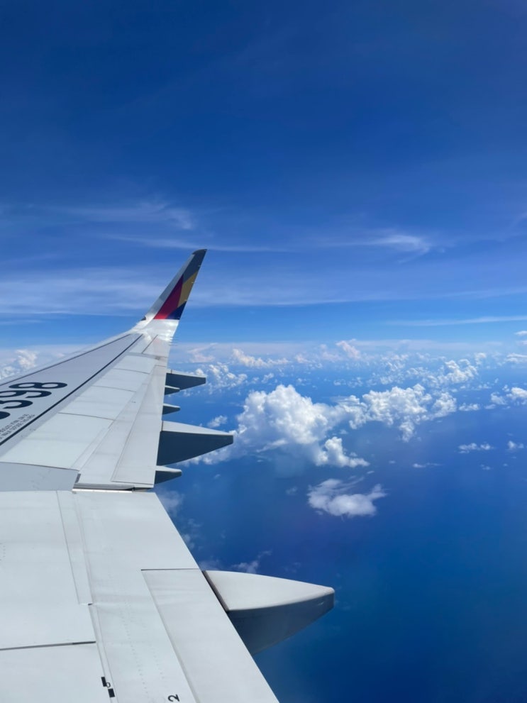  사이판 / 입국심사 - 입국 서류, 소요시간, 입국심사 질문, 세관신고 총 정리 편