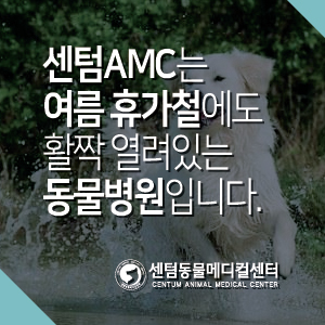  2022년 여름 휴가철에도 센텀동물메디컬센터는 활짝! (부산 경남 365일 연중무휴 동물병원)