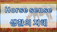  '지혜/상식/설명' 관련 재미있는 영어 표현