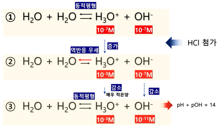  화학1 4단원 pH농도 계산(feat. pOH, 기출문항 필수 개념)