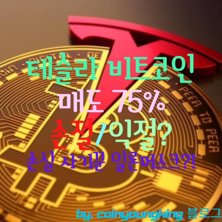 테슬라 비트코인 매도 75% 손절/익절? 손실 사기꾼 일론머스크?!