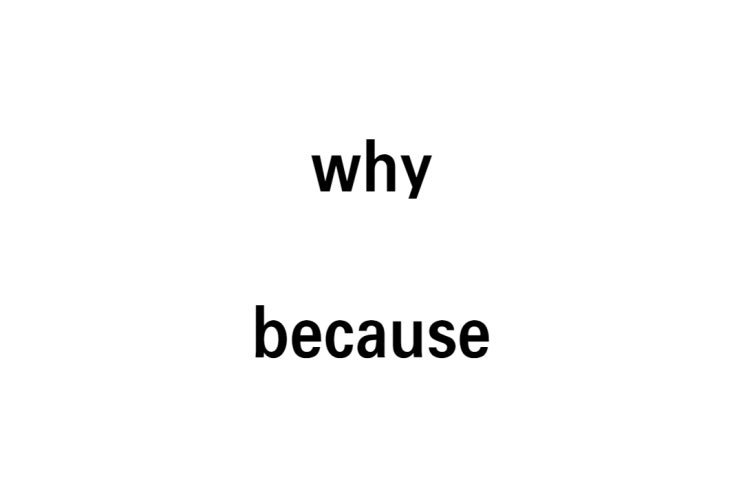  [영문법] why (원인) 와 because (결과) 의 차이