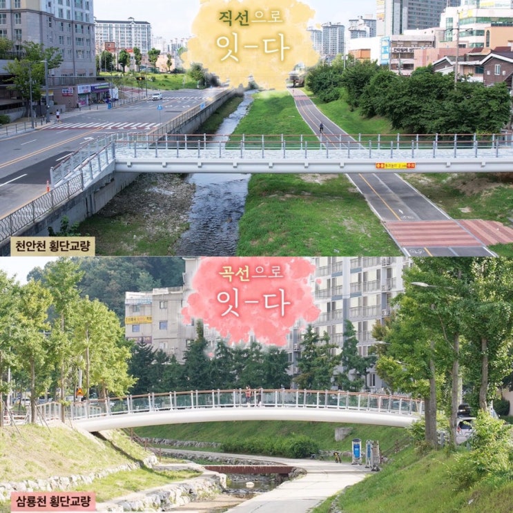 하천으로 단절되었던 성정동 천안천, 구성동 삼룡천 횡단교량 설치 완료 | 천안시청페이스북