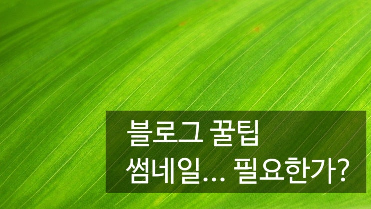  블로그 썸네일 필요할까?