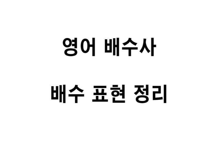  [영문법] 영어 배수사, 배수 표현 정리 (~보다 몇배 -하다)