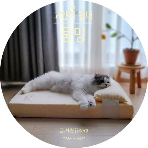  강아지 고양이 디스크 예방에 좋은 개편한 고양이침대 , 마약방석 추천해요(with뭉밍)
