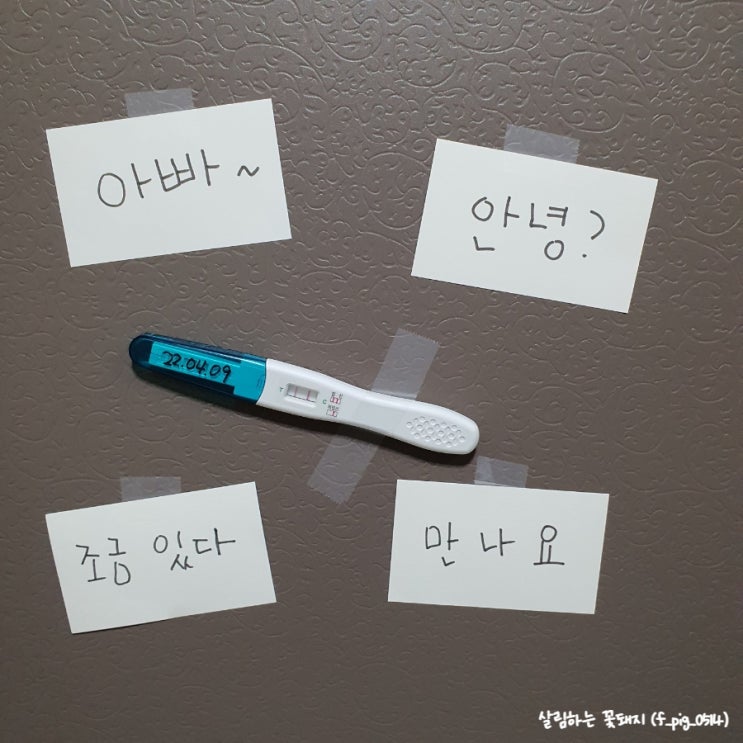  임신기록_ 임신확인 (임신테스트기)