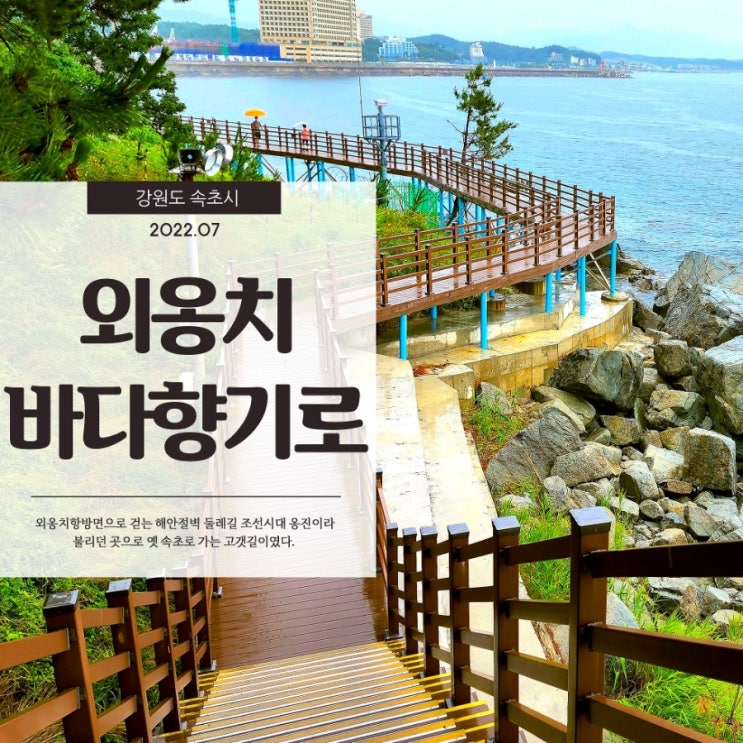  외옹치바다향기로 멋진 해안 절벽을 따라 걷는 잊을수 없는 둘레길